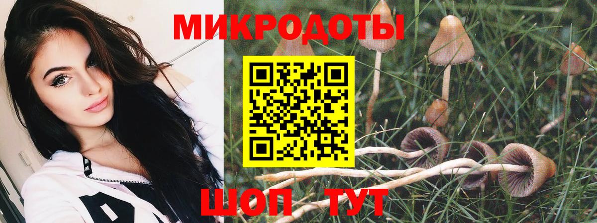 Псилоцибиновые грибы мицелий Томск